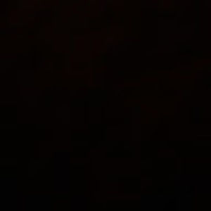 Meet your Posher, Wyatt